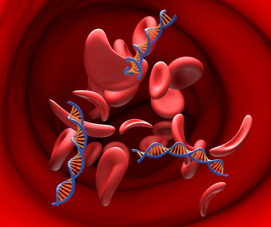 Illustration of red blood cells and DNA strands representing comprehensive lab panels and diagnostic testing
